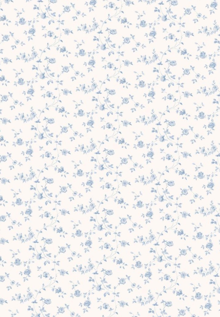 Bonjour tout le monde !